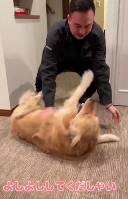 「どこ行ってたの~!!」