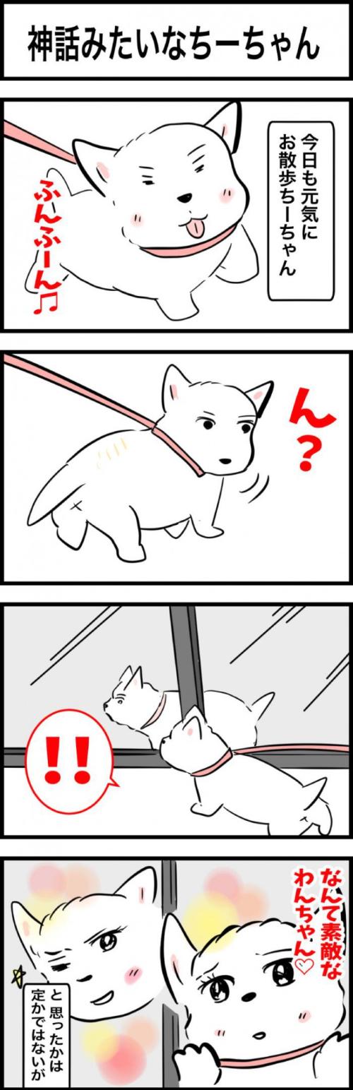 ちーちゃんですけどもっ【第329話】　1