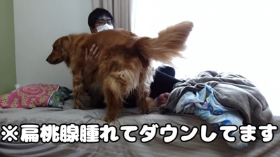 体調不良時のよもぎちゃん＆だいず君の対応2