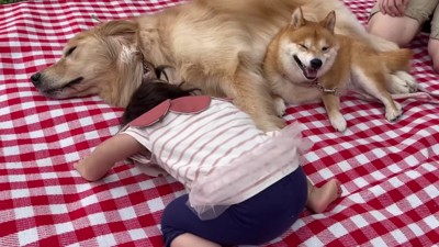 ずっと一緒の3兄妹♡