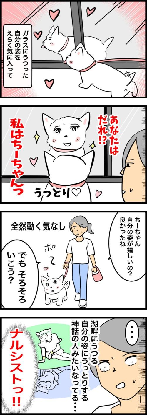 ちーちゃんですけどもっ【第329話】２