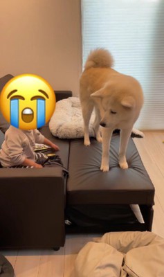 「見えない~!」