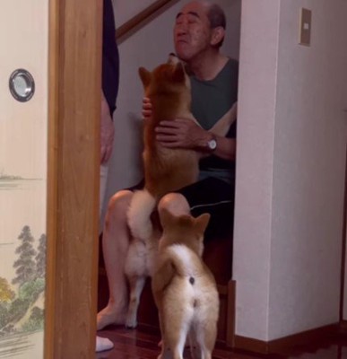 「僕だけのおじいちゃん!」