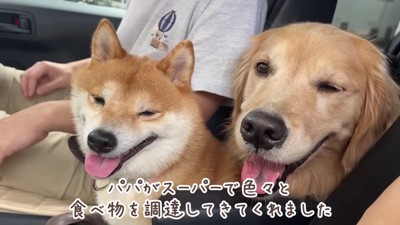 久しぶりのピクニックへ