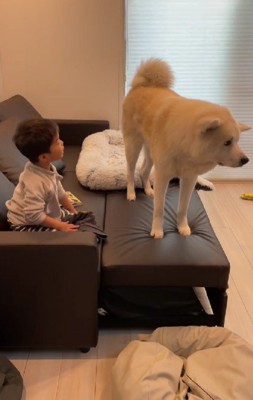 凛太郎くんがやってきて…