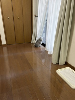 帰りを待つ