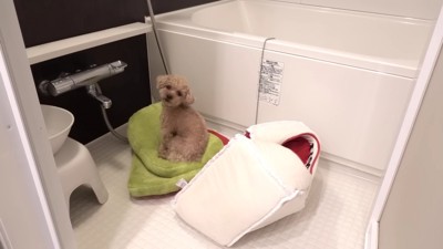 切ない表情…