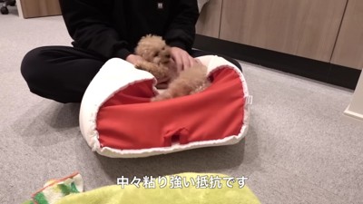 必死に抵抗!