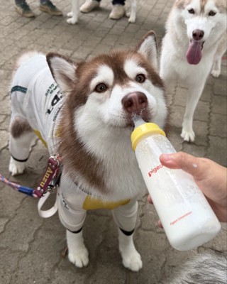 哺乳瓶
