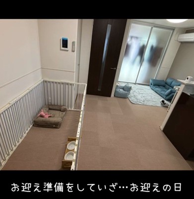 部屋を大改造!