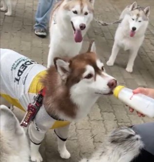 順番待ち