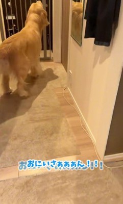 「おにいさああああん！！」