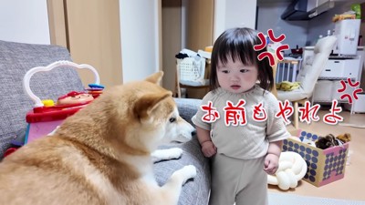 「やっぱり納得できない!」