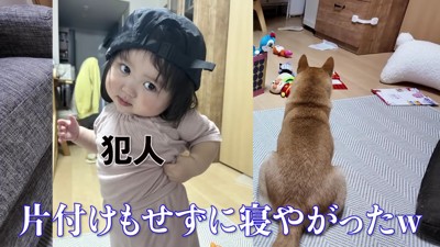 部屋がグチャグチャ…