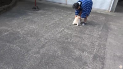 庭でじゃれあう2人