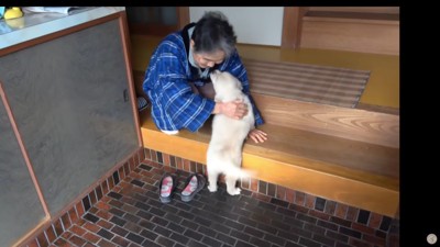 母親に子犬をプレゼント