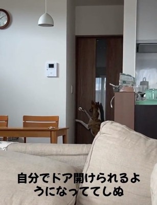 取っ手を下げるくっきーちゃん