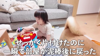 また荒らされちゃった