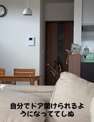 開き始めるドア