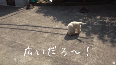 これから楽しくなりそう!