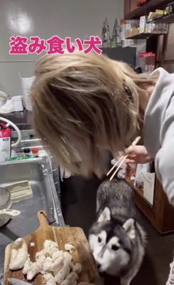 戸惑う飼い主さん