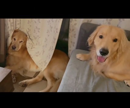 笑顔のコロッケくんと迷惑そうなこまき先輩