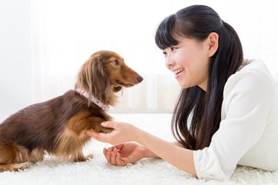 見つめ合う犬と女性