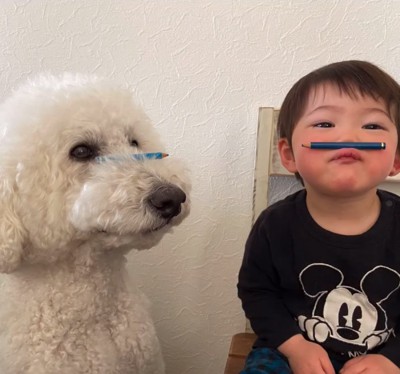 鼻の頭に鉛筆を載せる