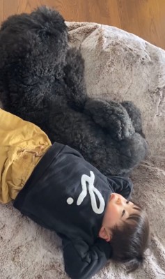 お昼寝しながら寄り添う