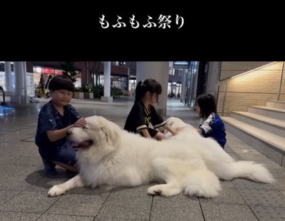 ナデナデ