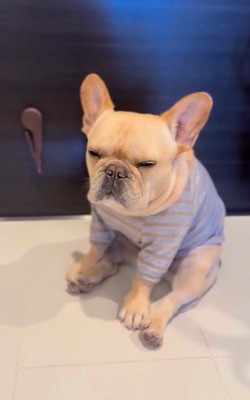 「やっぱ眠い…」