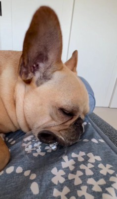 ちょっと大きくなる