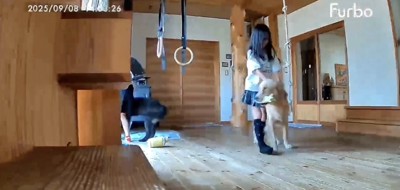 ナデナデ