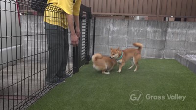 喜びが止まらない…！