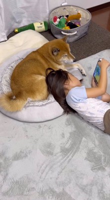 クッションになっている犬の隣に寝転がってゲームをする女の子