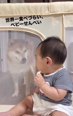 振り向く赤ちゃん