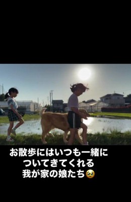 みんなでお散歩するのが日課