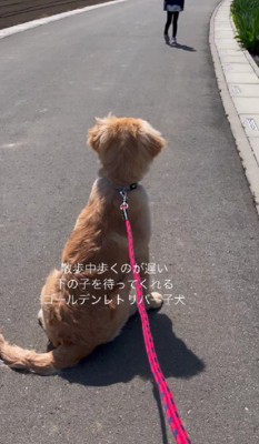 次女さんと距離が出来ちゃった