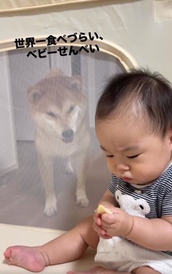 食べづらい赤ちゃん