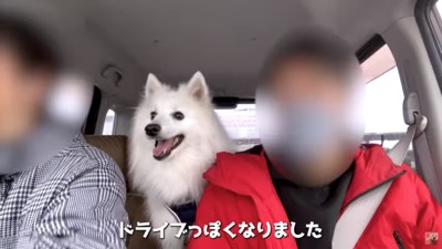 嬉しいぽてちゃん