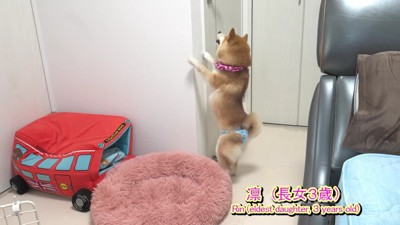 感情が爆発！！