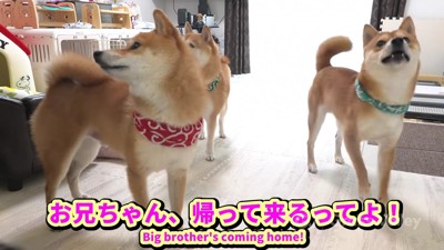 「本当に！？」