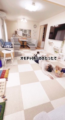 床にうつ伏せになっている飼い主におもちゃを持ってくる茶色い犬