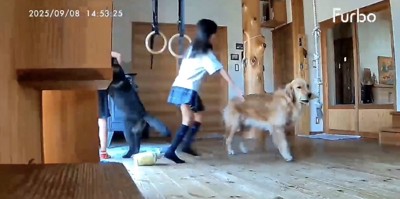 「ただいまー!」
