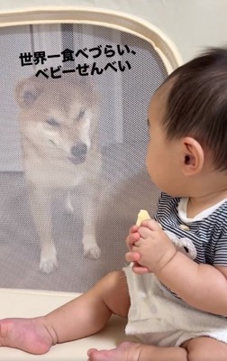 振り向く赤ちゃん