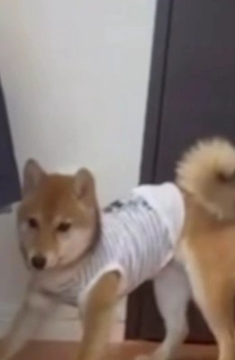 お前は誰だ！！