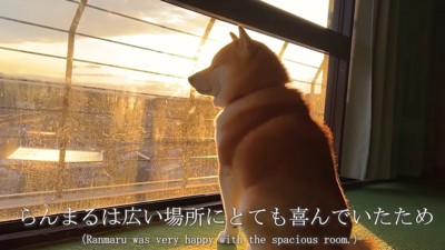 楽しかった思い出の場所…