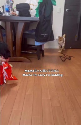 遠くから威嚇する姿にキュン