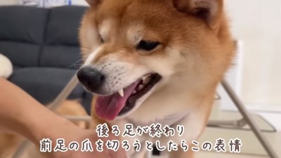 ムキ顔のうにくん