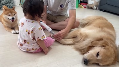 見守るうにくんとほのちゃん